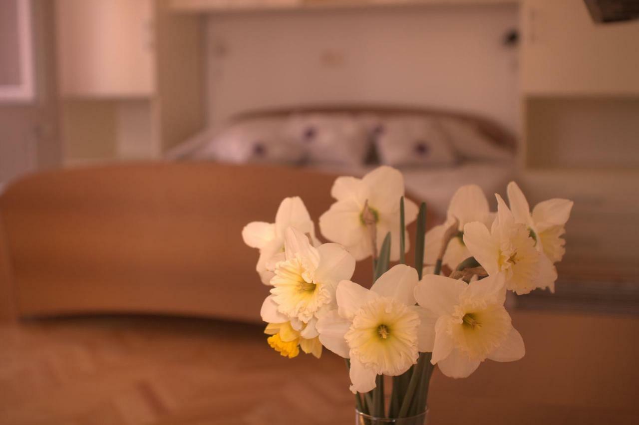 Apartments Katarina Porat มาลินสกา ภายนอก รูปภาพ